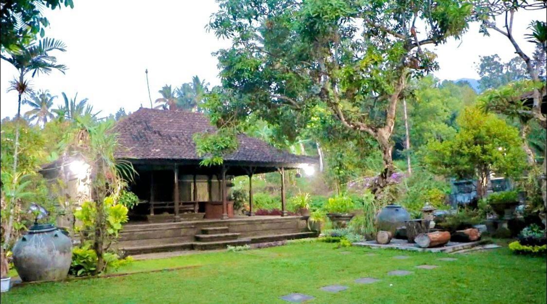 Mesari Cottage Guest House Pabean Buleleng Exterior foto